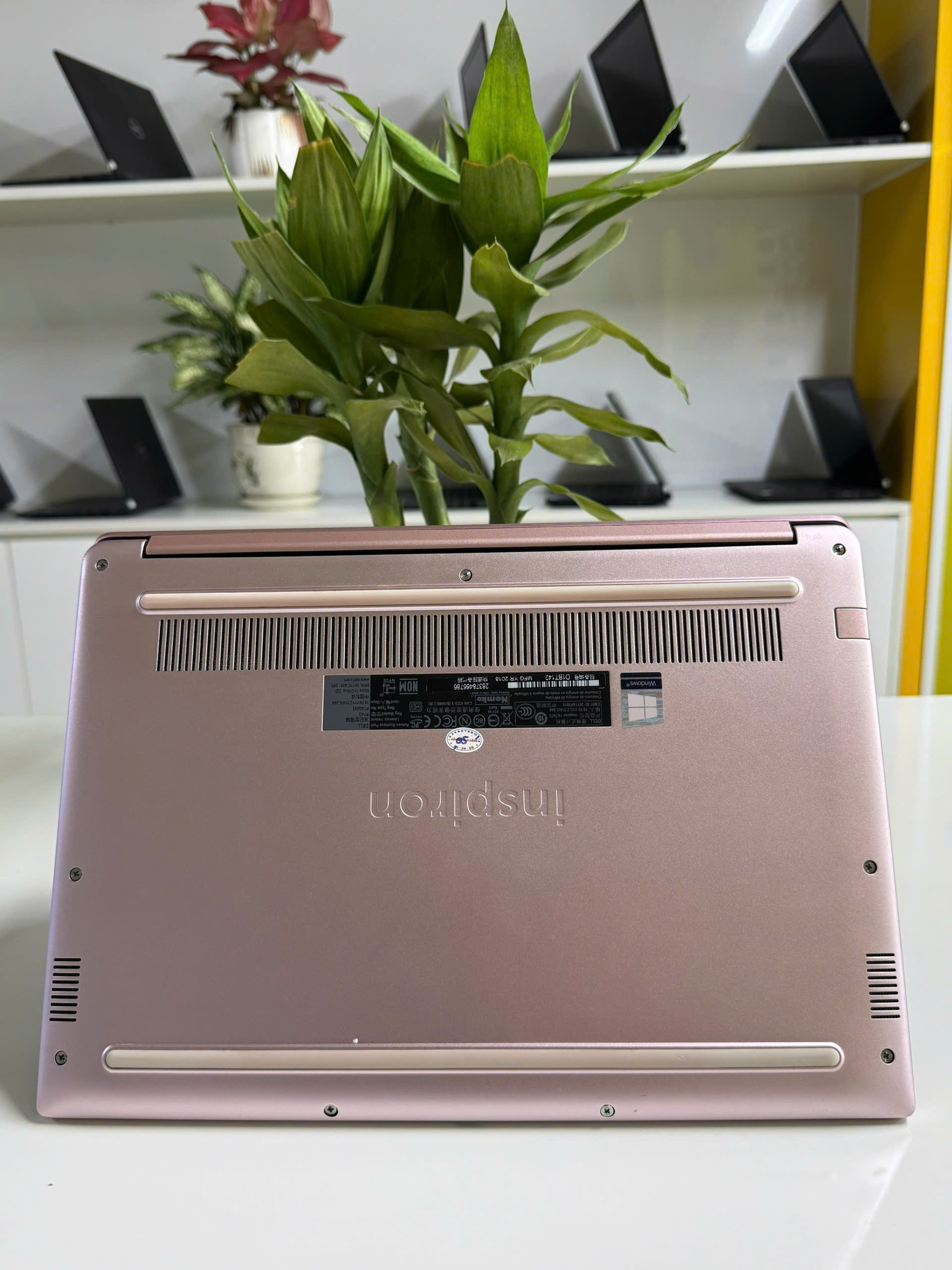 z7204662447360_d1f197dd0c7493852224fcdabf7056be