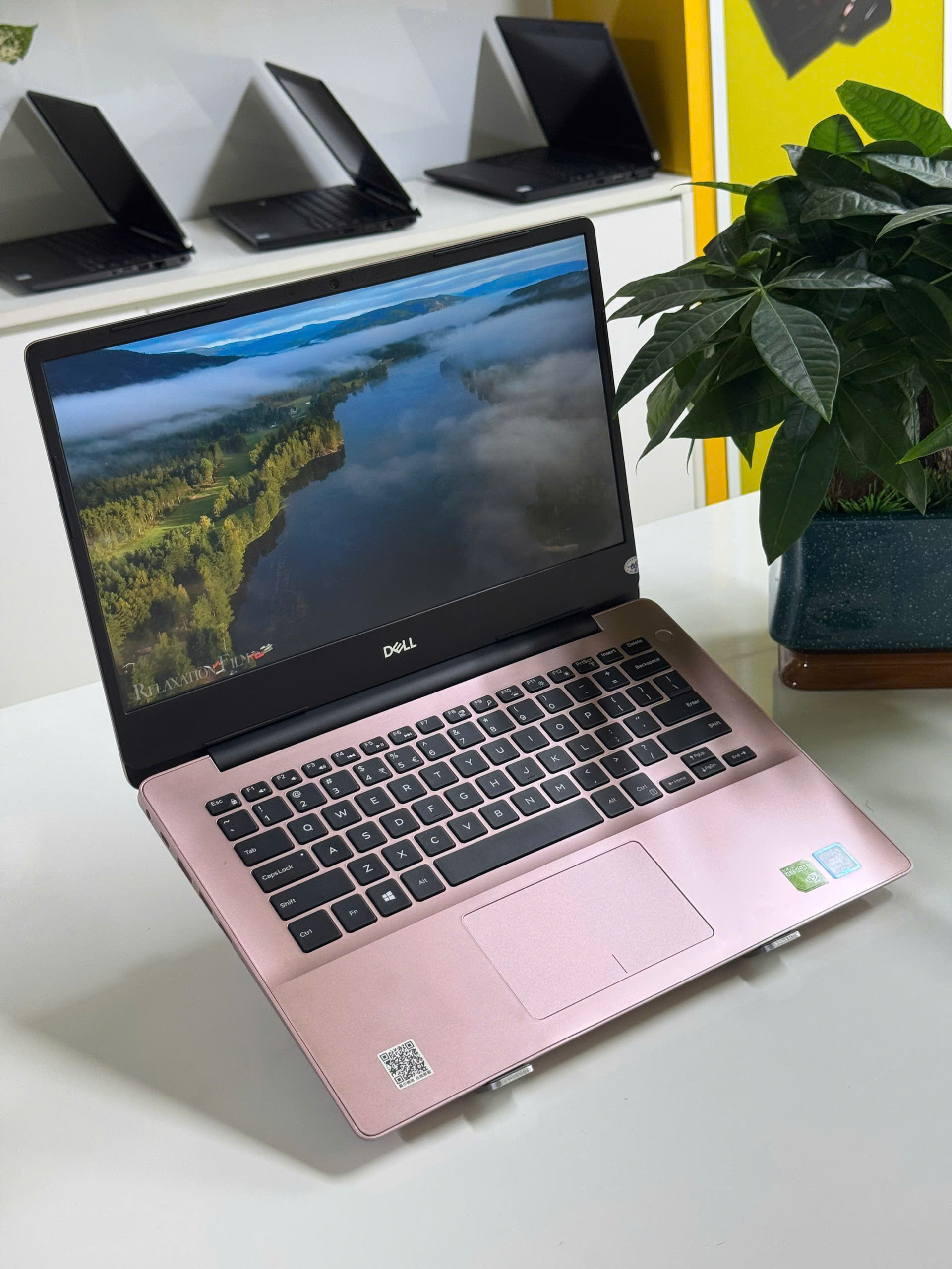 z7205141529522_8ed173ec5b952600f8100273b58d38e3