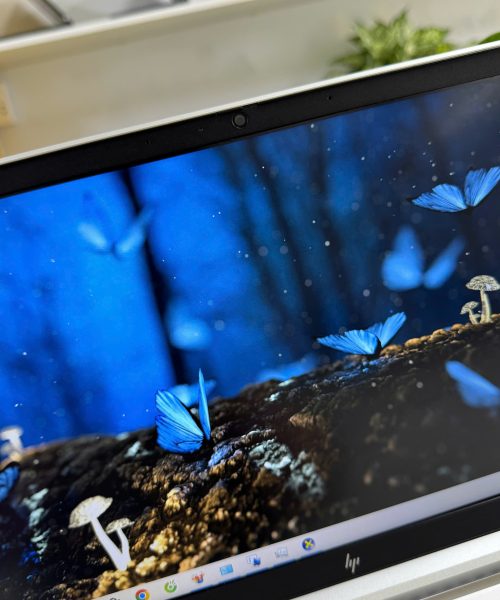 Laptop cũ HP EliteBook 630 G9 i5 I5 - camera giá rẻ tại Thanh Hóa - An Nam Laptop