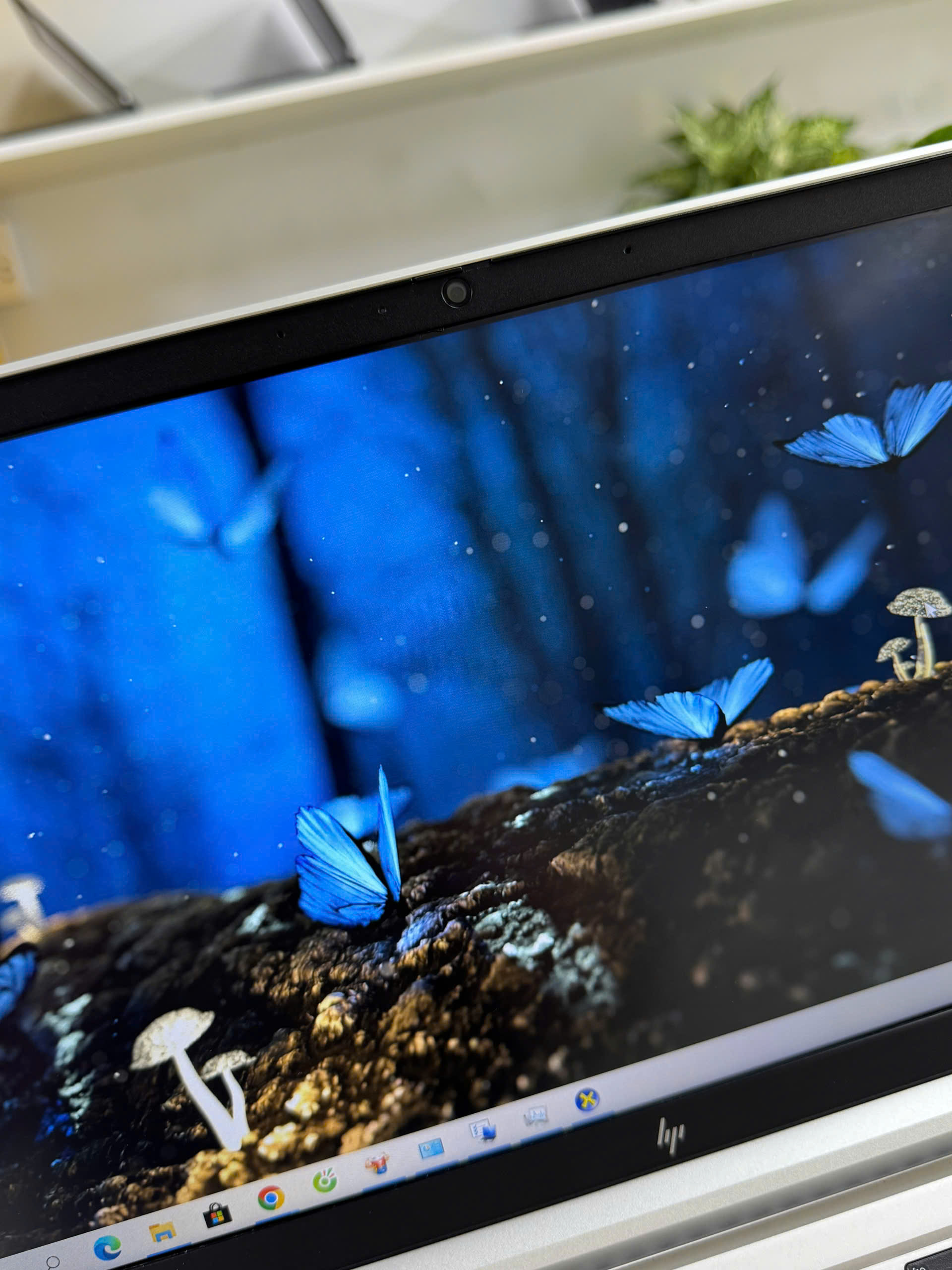 hp-elitebook-630-g9-i5-i5-camera-5.jpg - An Nam Laptop Laptop cũ HP EliteBook 630 G9 i5 I5 - camera giá rẻ tại Thanh Hóa - An Nam Laptop