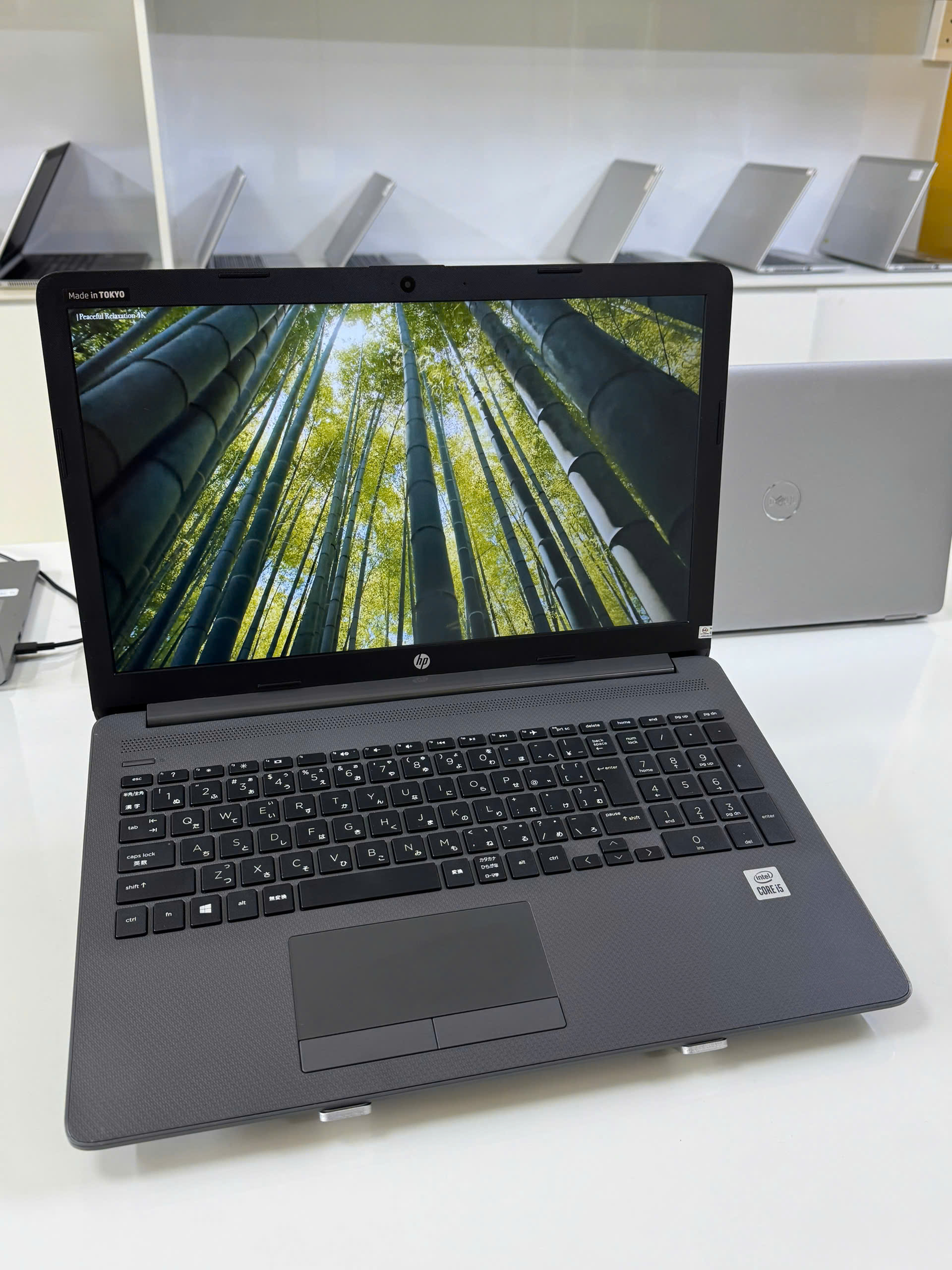 Laptop cũ HP Notebook 250 G7 i5 I5 - whole_laptop giá rẻ tại Thanh Hóa - An Nam Laptop