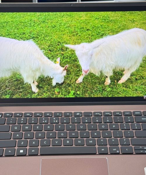 Laptop cũ laptop - screen giá rẻ tại Thanh Hóa - An Nam Laptop