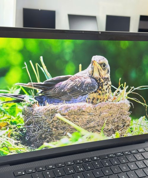 Laptop cũ Dell Precision 5550 7 T1000 i7 - screen giá rẻ tại Thanh Hóa - An Nam Laptop