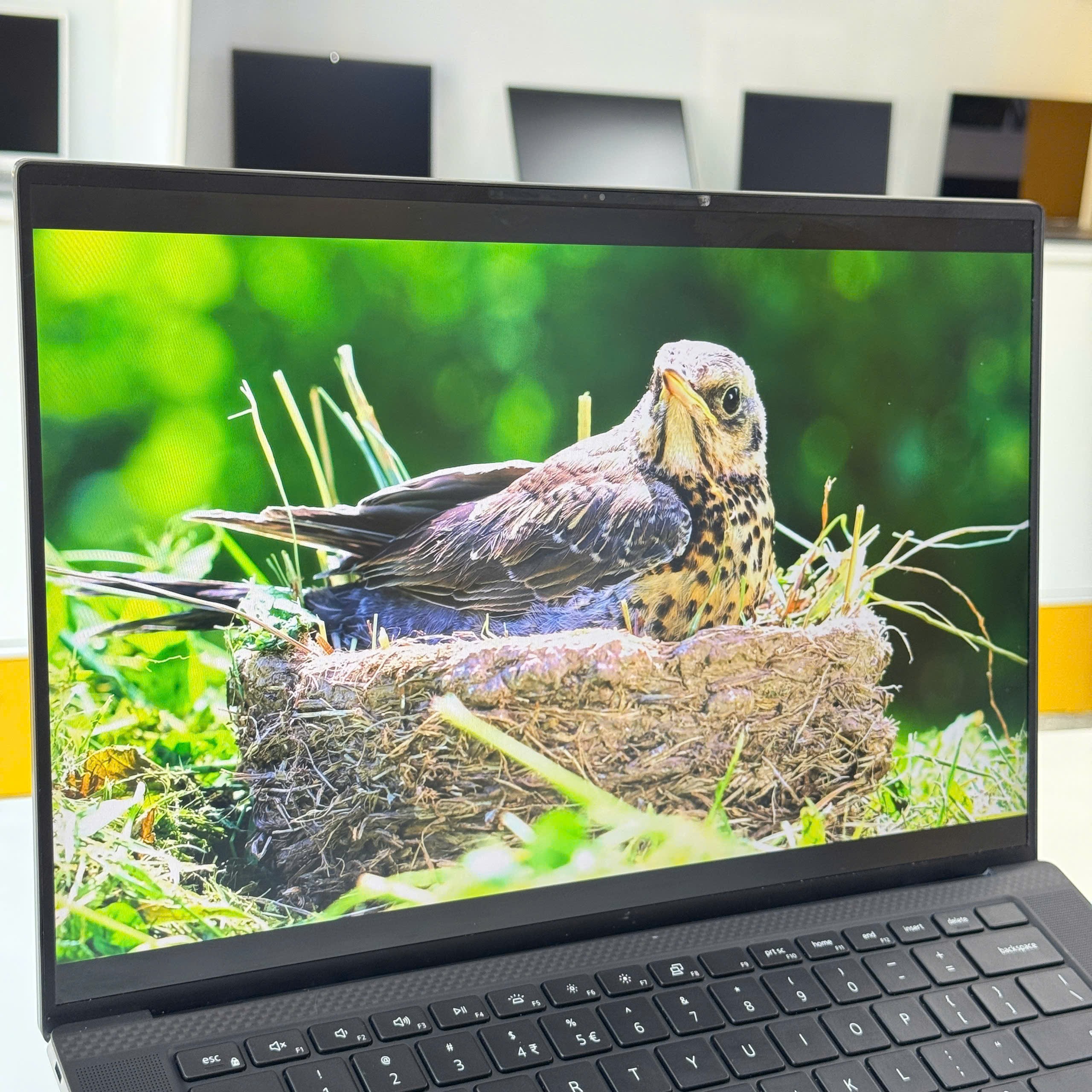 dell-precision-5550-7-t1000-i7-screen-5.jpg - An Nam Laptop Laptop cũ Dell Precision 5550 7 T1000 i7 - screen giá rẻ tại Thanh Hóa - An Nam Laptop