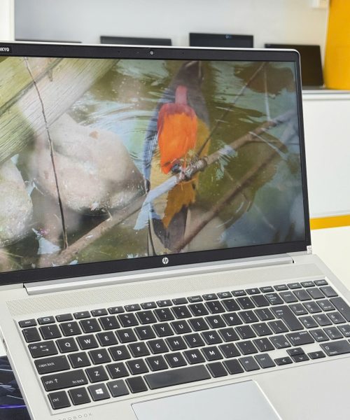 Laptop cũ HP ProBook 450 G8 i5 - whole_laptop chính hãng giá rẻ tại Thanh Hóa - An Nam Laptop